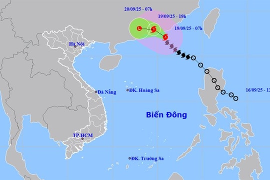 13 tỉnh thành ven biển chủ động ứng phó bão số 8