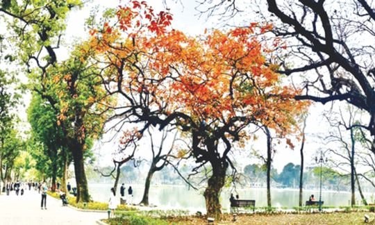 Thu Hà Nội và những miền ký ức không phai