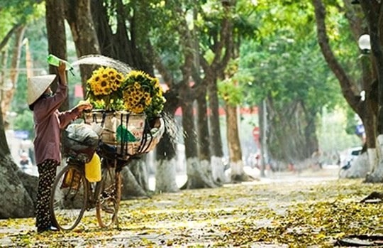 Hà Nội lọt top điểm ngắm mùa thu đẹp nhất châu Á