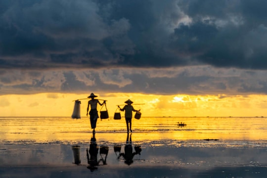 Người đi về phía biển