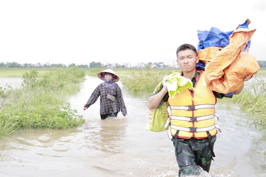 Xã Đa Phúc: Hỗ trợ người dân thu hoạch lúa chạy mưa lũ
