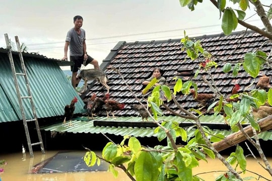 Thủ tướng yêu cầu tập trung khắc phục nhanh hậu quả bão số 10 và mưa lũ