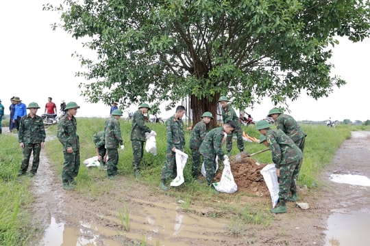 Hà Nội yêu cầu đảm bảo an toàn hệ thống đê điều, ứng phó với bão số 11 và mưa, lũ sau bão