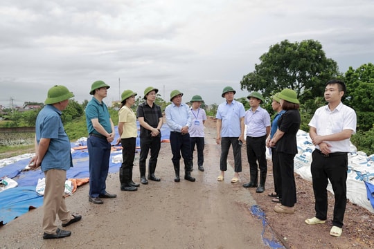 Phó Bí thư Thường trực Thành ủy Nguyễn Văn Phong kiểm tra công tác phòng, chống úng ngập tại các xã ven sông Cầu