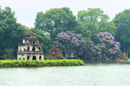 Lẵng hoa tươi Hồ Gươm