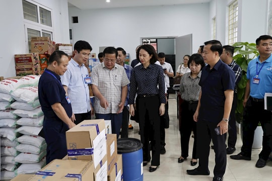 Phó Chủ tịch TP Hà Nội Vũ Thu Hà kiểm tra công tác khắc phục hậu quả mưa lũ các xã ngoại thành