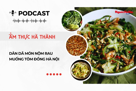 [Podcast] Dân dã món nộm rau muống tôm đồng Hà Nội