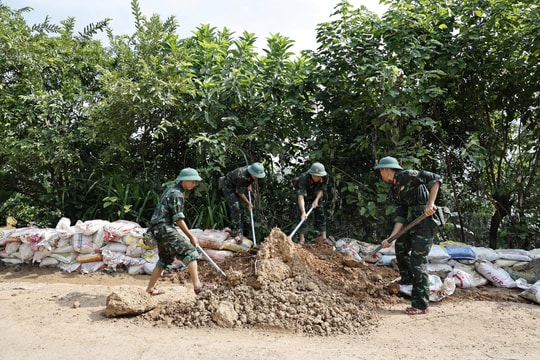 Lực lượng vũ trang hỗ trợ người dân ngoại thành Hà Nội khắc phục hậu quả sau mưa lũ