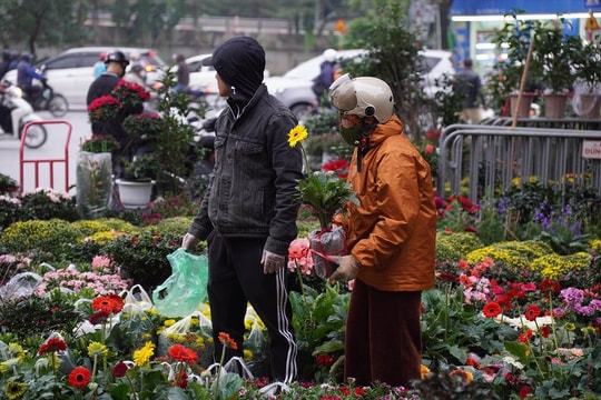 Chợ hoa xuân Hà Nội