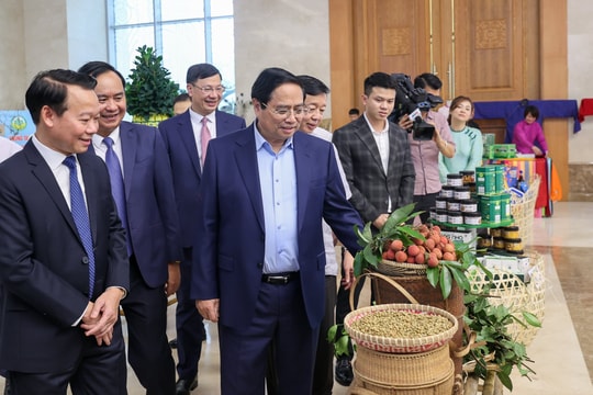 Hướng tới Đại hội XIV của Đảng: Phát triển nông nghiệp bền vững, xứng tầm “trụ đỡ” của nền kinh tế - xã hội