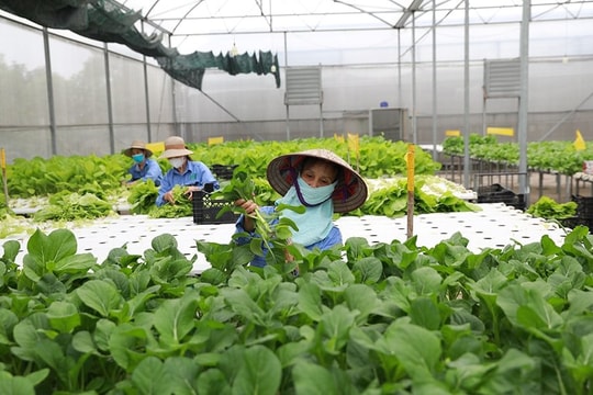 Hà Nội phê duyệt Chương trình khuyến công giai đoạn 2026-2030