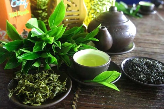 “Văn hóa Trà Việt” được đề xuất gửi UNESCO ghi danh vào danh sách Đăng ký những thực hành bảo vệ tốt