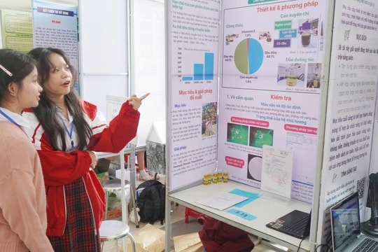 Gần 200 đề tài của 359 học sinh trung học tham gia Cuộc thi Khoa học Kỹ thuật TP Huế năm học 2025 – 2026