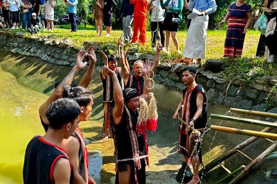 Triển khai Phong trào “Toàn dân đoàn kết xây dựng đời sống văn hóa” gắn với chuyển đổi số