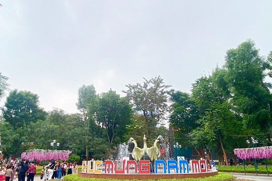 Vườn thú Hà Nội: Điểm hẹn mùa xuân hấp dẫn giữa lòng Thủ đô