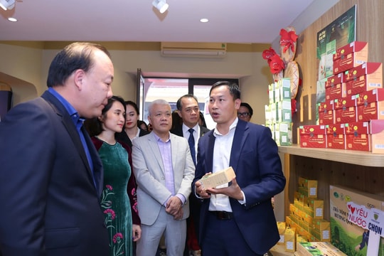 Khai mạc không gian trưng bày, livestream “Sức sống hàng Việt” trên phố Tràng Tiền