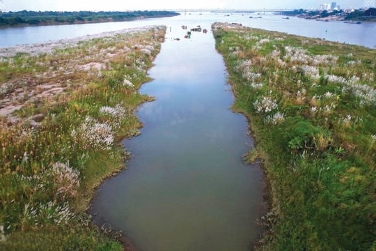 Mùa xuân trên dòng sông quê