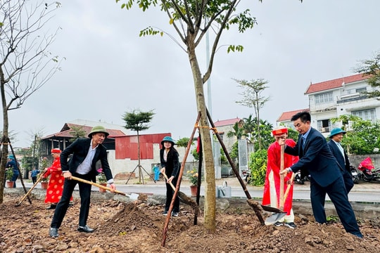 Tết Trồng cây Xuân Bính Ngọ 2026, xã Nam Phù phấn đấu trồng mới 3.000 cây xanh