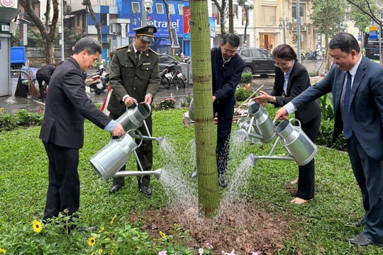 Phường Cửa Nam phát động Tết trồng cây Xuân Bính Ngọ 2026