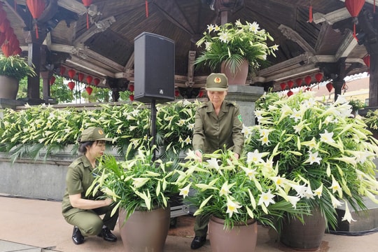 Hàng nghìn bông hoa loa kèn “đánh thức” không gian Nhà Bát Giác trước giờ G Live Concert “Hà Nội bình yên”