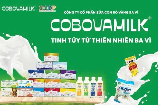 OCOP Sữa Con Bò Vàng Ba Vì - Khi sản phẩm địa phương trở thành thương hiệu và lan tỏa giá trị cộng đồng