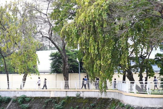 Khi những “bức tường” biến mất: Hà Nội thêm những không gian sống đáng mong đợi