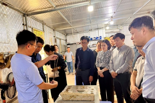 Khảo sát di chỉ khảo cổ Vườn Chuối – hướng tới công viên di sản Thủ đô