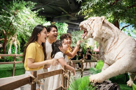 Hoà mình cùng Lễ hội “Xứ sở Pony” tại Hà Nội dịp 30/4 - 1/5