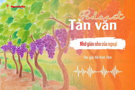 [Podcast] Tản văn: Nhớ giàn nho của ngoại