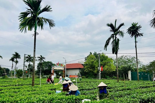 Hà Nội ban hành Kế hoạch phát triển ngành nghề nông thôn năm 2026