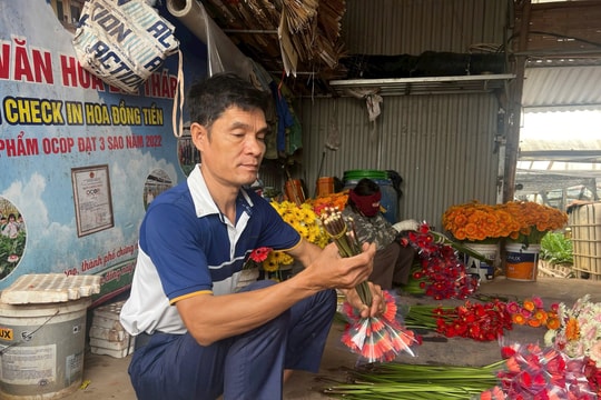 Năm 2026, Hà Nội phấn đấu có khoảng 300 sản phẩm OCOP đạt từ 3 sao trở lên