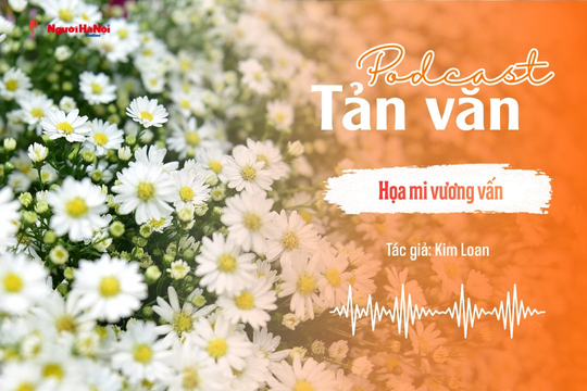 [Podcast] Tản văn: Họa mi vương vấn