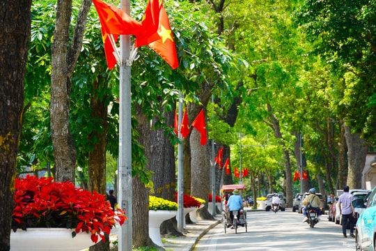 Treo cờ Tổ quốc nhân dịp Đại hội đại biểu toàn quốc Mặt trận Tổ quốc Việt Nam lần thứ XI, từ 10- 14/5