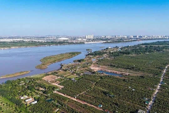 Hà Nội di dời, sắp xếp lại toàn bộ khu dân cư ngoài đê sông Hồng