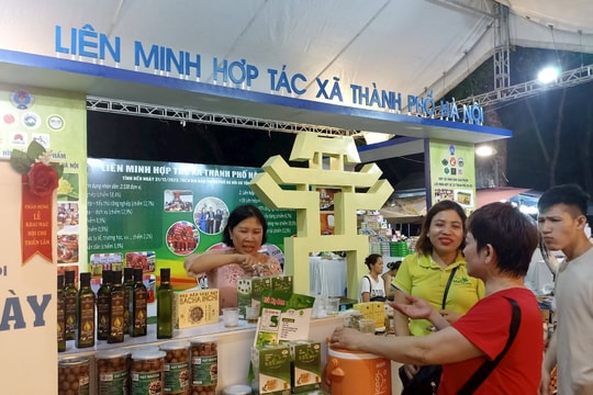 Hà Nội phê duyệt Chiến lược phát triển Quỹ Hỗ trợ phát triển Hợp tác xã giai đoạn 2026-2030