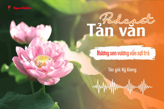 [Podcast] Tản văn: Hương sen vương vấn sợi trà
