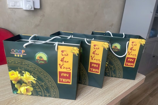 Giám đốc thương hiệu trà hoa vàng ANTEA và hành trình nâng tầm sản phẩm OCOP
