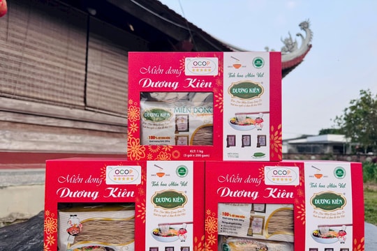 Hồn cốt xứ Đoài trong sợi miến dong Dương Kiên làng So