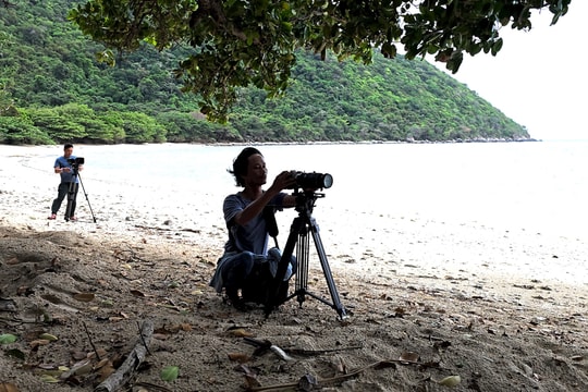 Cơ hội khám phá thiên nhiên hoang dã Côn Đảo qua “Vietnam Wild Live”