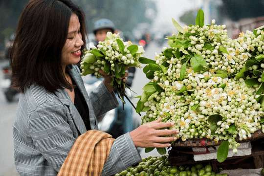 Gánh hoa bưởi qua phố