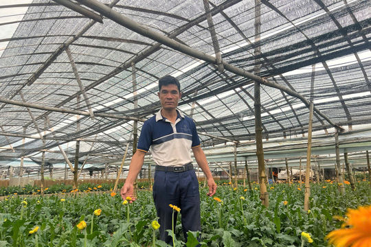 Hà Nội đổi mới toàn diện công tác đào tạo nghề nông thôn gắn với nông nghiệp công nghệ cao