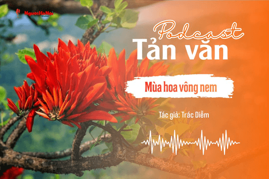[Podcast] Tản văn: Mùa hoa vông nem
