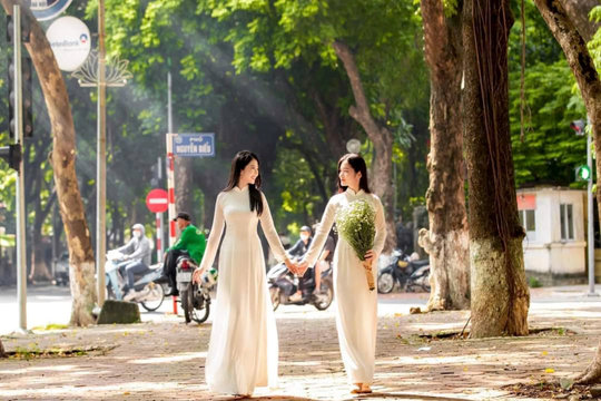 Hồn cây, tình người