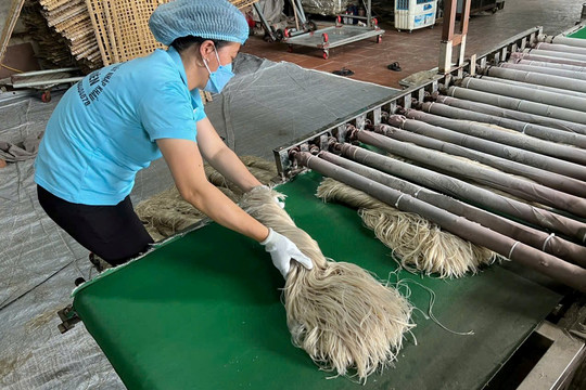 Nông dân Thủ đô xây dựng chuỗi nông sản an toàn, ứng dụng AI và chuyển đổi số