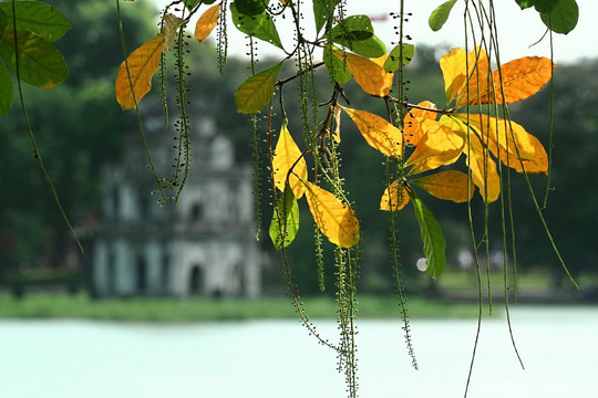 Thu Hà Nội