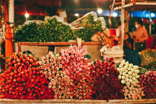 Một Hà Nội bình yên lung linh trong ký ức
