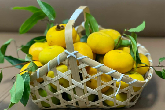 Mùa thu Hà Nội còn thơm nia thị của bà