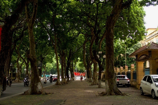 Hà Nội, tình yêu, và tình bạn