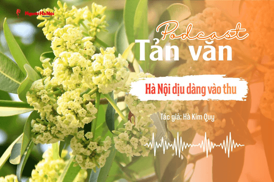 [Podcast] Tản văn: Dịu dàng Hà Nội vào thu