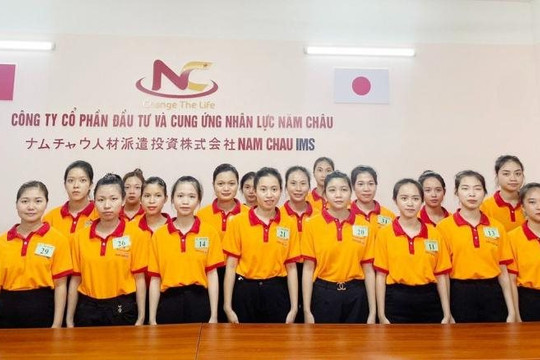 Năm Châu IMS thông báo triển khai dịch vụ việc làm
